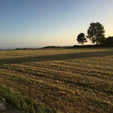 Gite Des Falaises De Champeaux Esterno foto